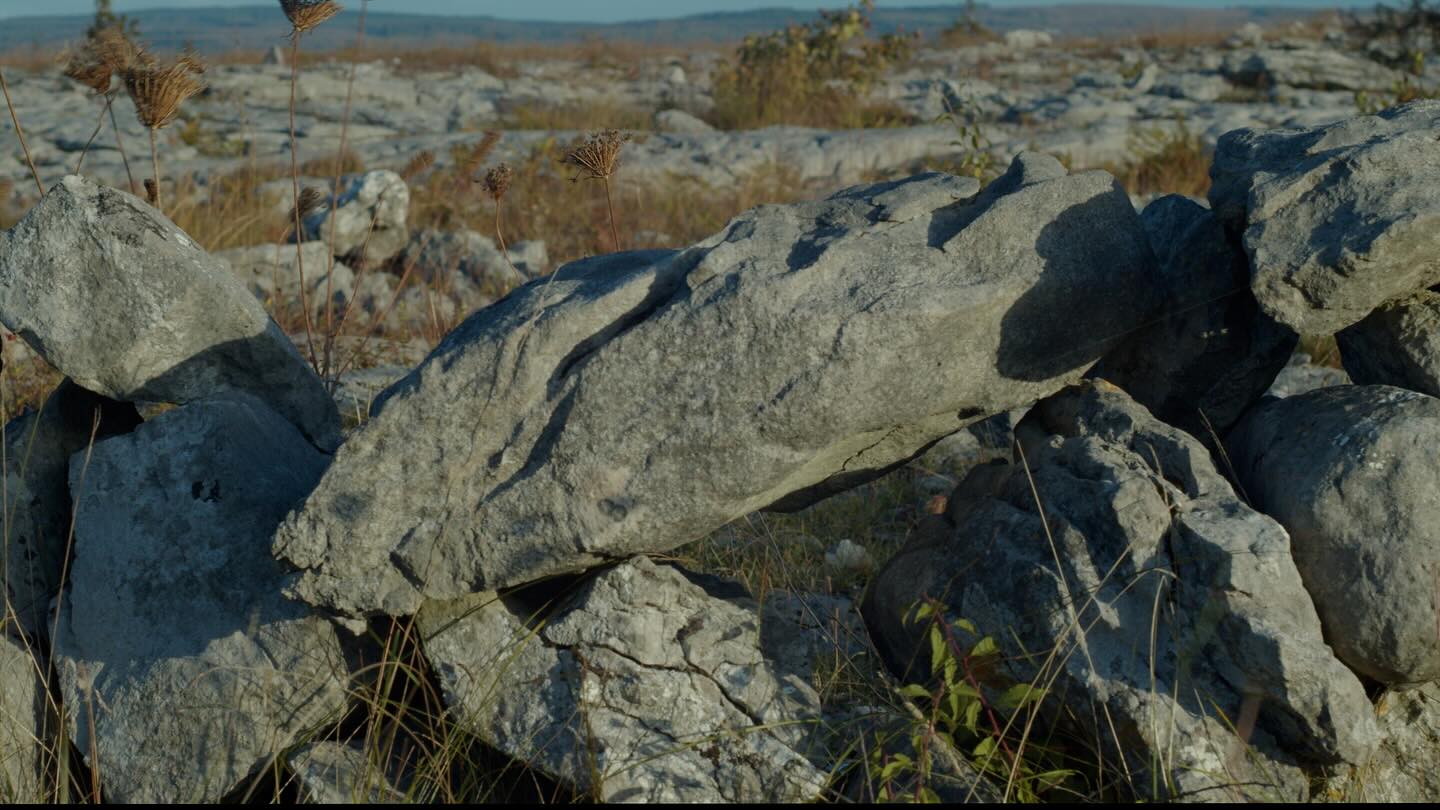 The distance we walked in this country I do not know